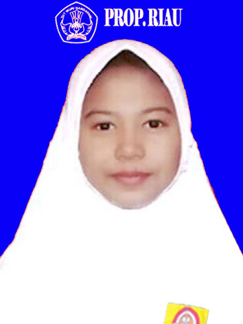 ANANDA NAFISATUL AQILA
