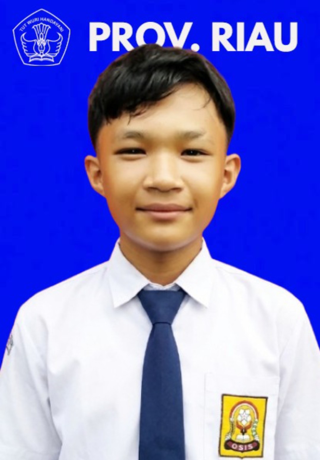 Andi Salman Al Farisy