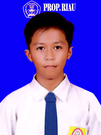 MUHAMMAD FARHAN AMIR