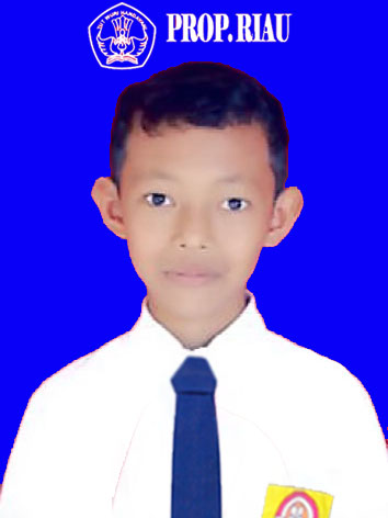 AAN KURNIAWAN. S